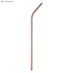 Reusable Stainless Steel Straw