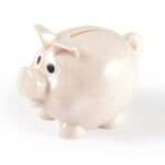 World’s Smallest Pig Eco Coin Bank