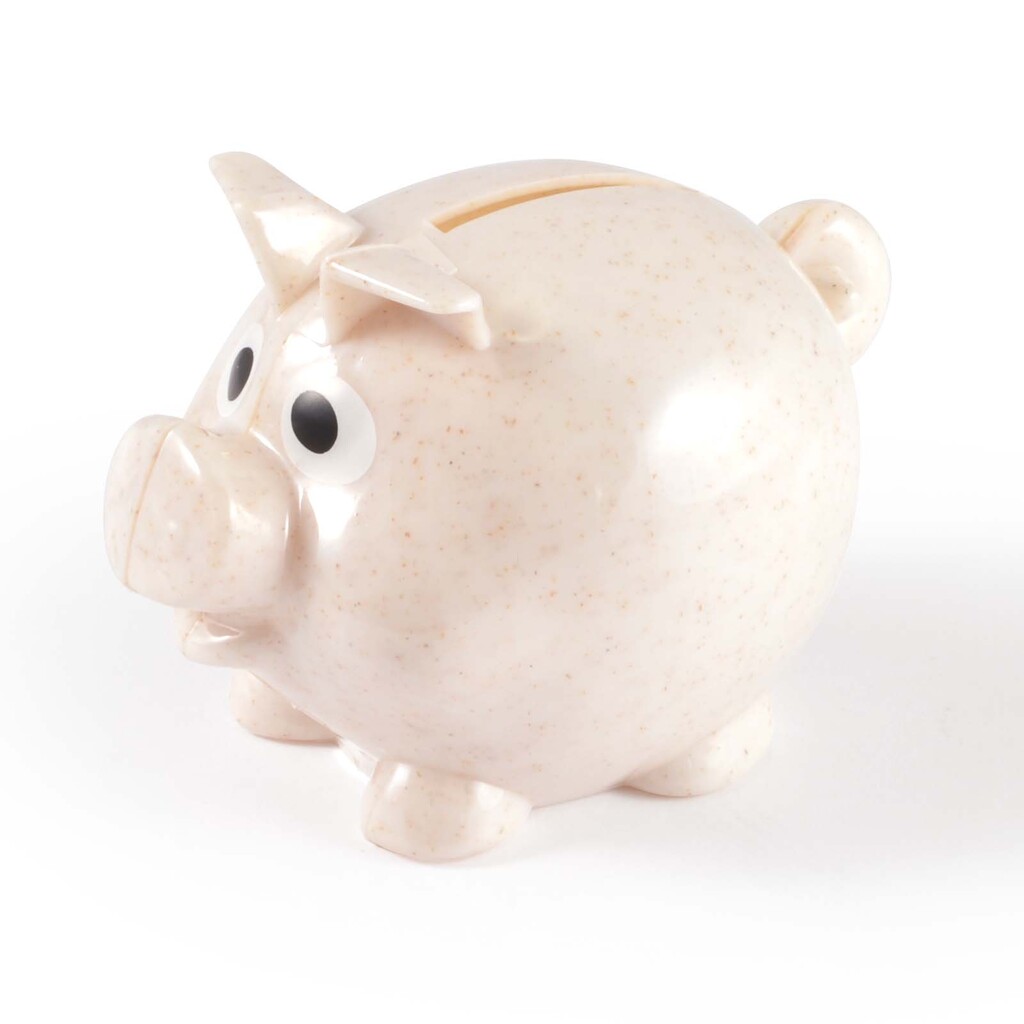 World’s Smallest Pig Eco Coin Bank