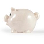 World’s Smallest Pig Eco Coin Bank