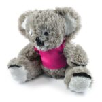 Korporate Koala with T-shirt