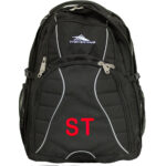 High Sierra Swerve 17 inch Computer Backpack