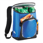 Arctic Zone 18 Can Cooler Backpack