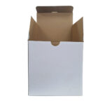 Pack Single Tall Box – White