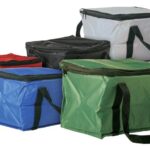 Cooler Bag 12 Can