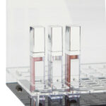 Lip Lights Lip Gloss Display Box