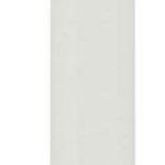 Pen Plastic Push Button Berry