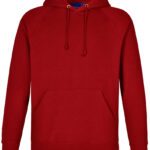 Men’s Fleecy Hoodie