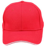 Pique Mesh Contarst Sandwich