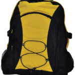 Smartpack Backpack