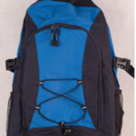 Smartpack Backpack