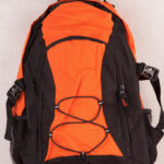 Smartpack Backpack
