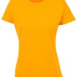 Ladies’ Cotton Semi Fitted Tee
