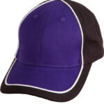 Arena Two Tone Cap