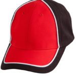 Arena Two Tone Cap