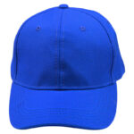 Wool Blend Structured Cap