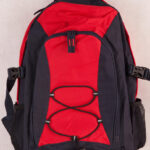 Smartpack Backpack