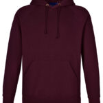 Men’s Fleecy Hoodie
