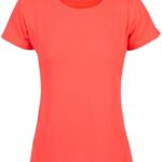 Ladies’ Cooldry Stretch Tee