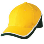 Tri-Color Sue Heavy Brushed Cotton Cap
