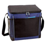 Cooler Bag