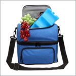 Double Deck Deluxe Cooler Bag