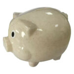 Wheat Straw Piggy Bank