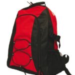 Smartpack Backpack