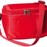 6 Can Cooler Bag