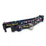 Amigo Dog Collar