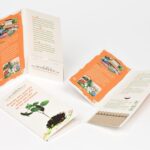 Seedstick 10’S Greeting Card