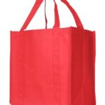 Non Woven Shopping Bag