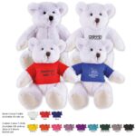 Frosty Plush Teddy Bear