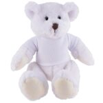 Frosty Plush Teddy Bear