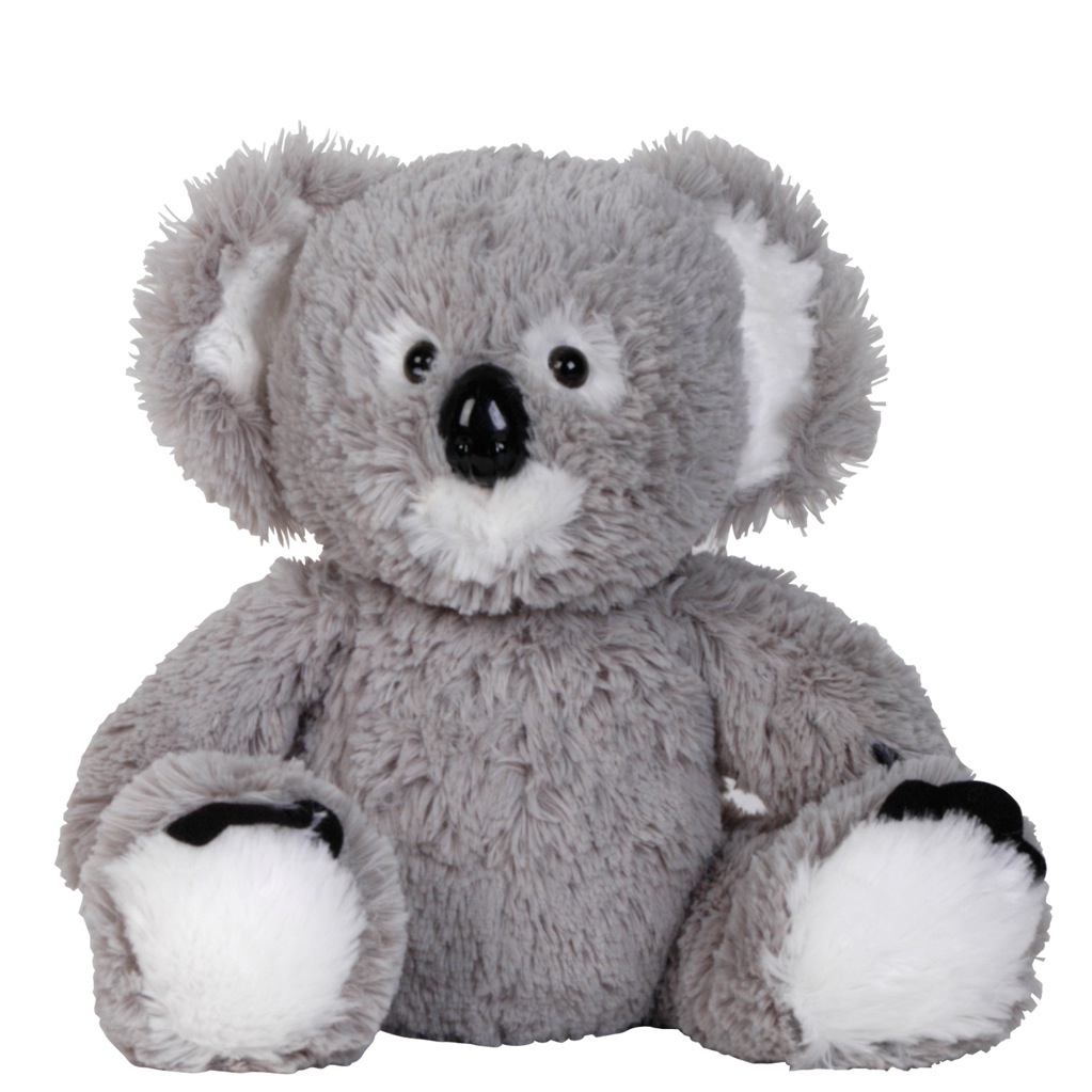 Korporate Koala with T-shirt