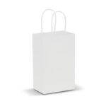 Paper Carry Bag – Small