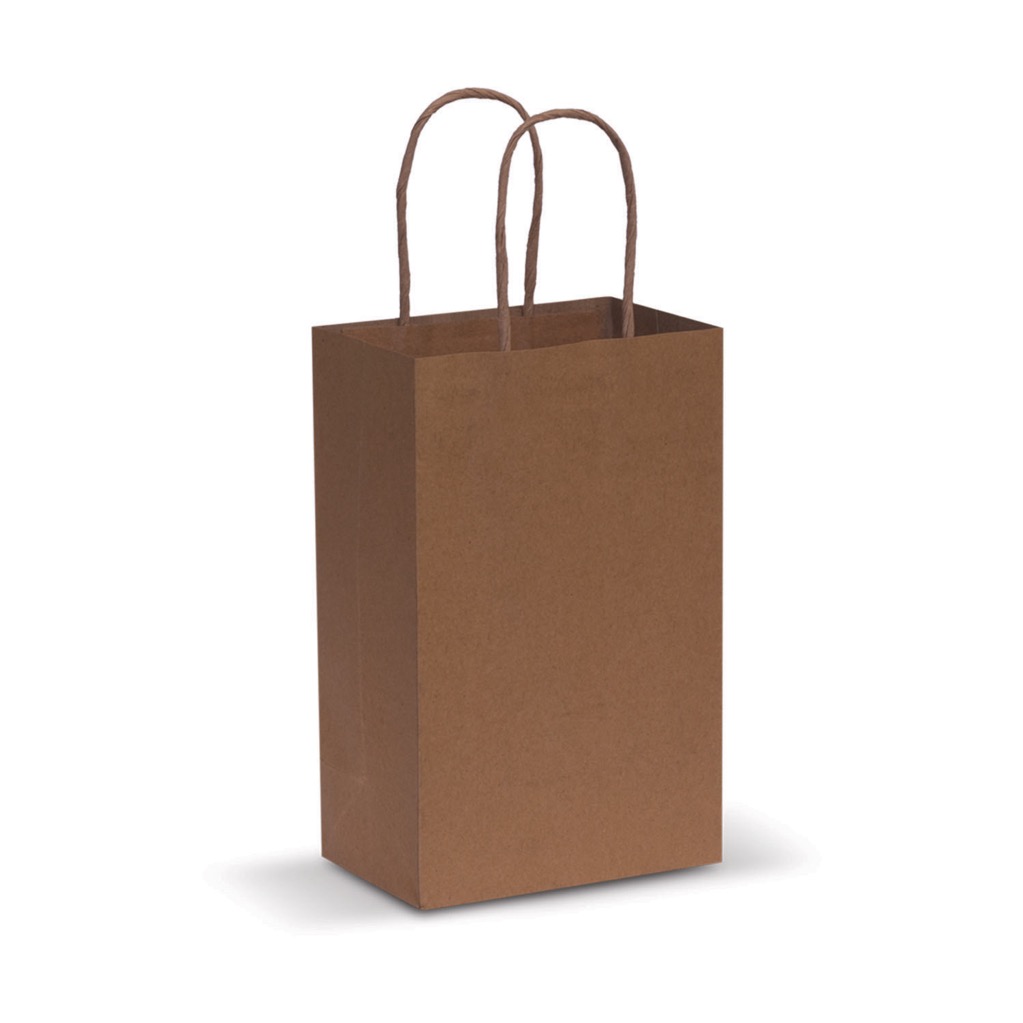 Paper Carry Bag – Small