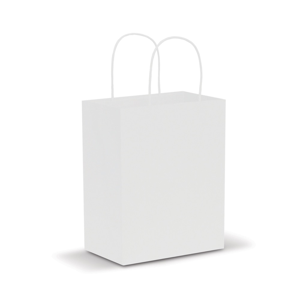 Paper Carry Bag – Medium
