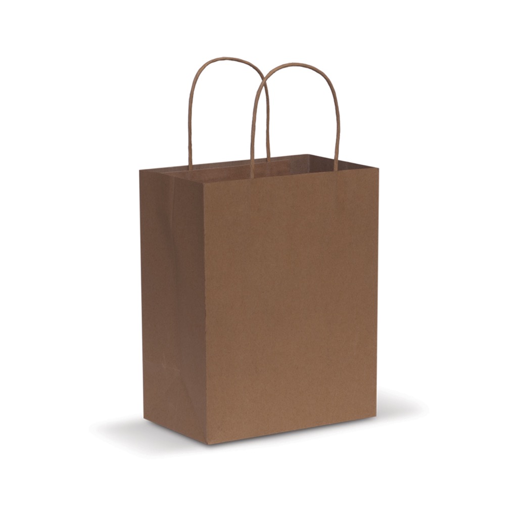 Paper Carry Bag – Medium