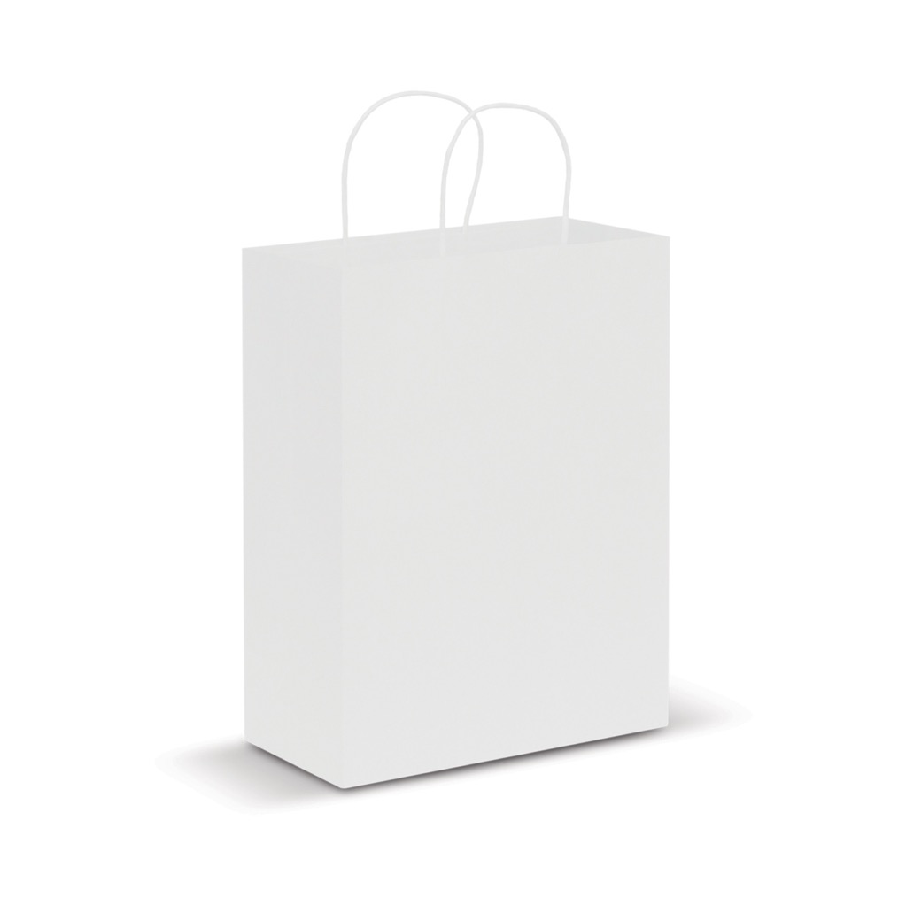 Paper Carry Bag – Large