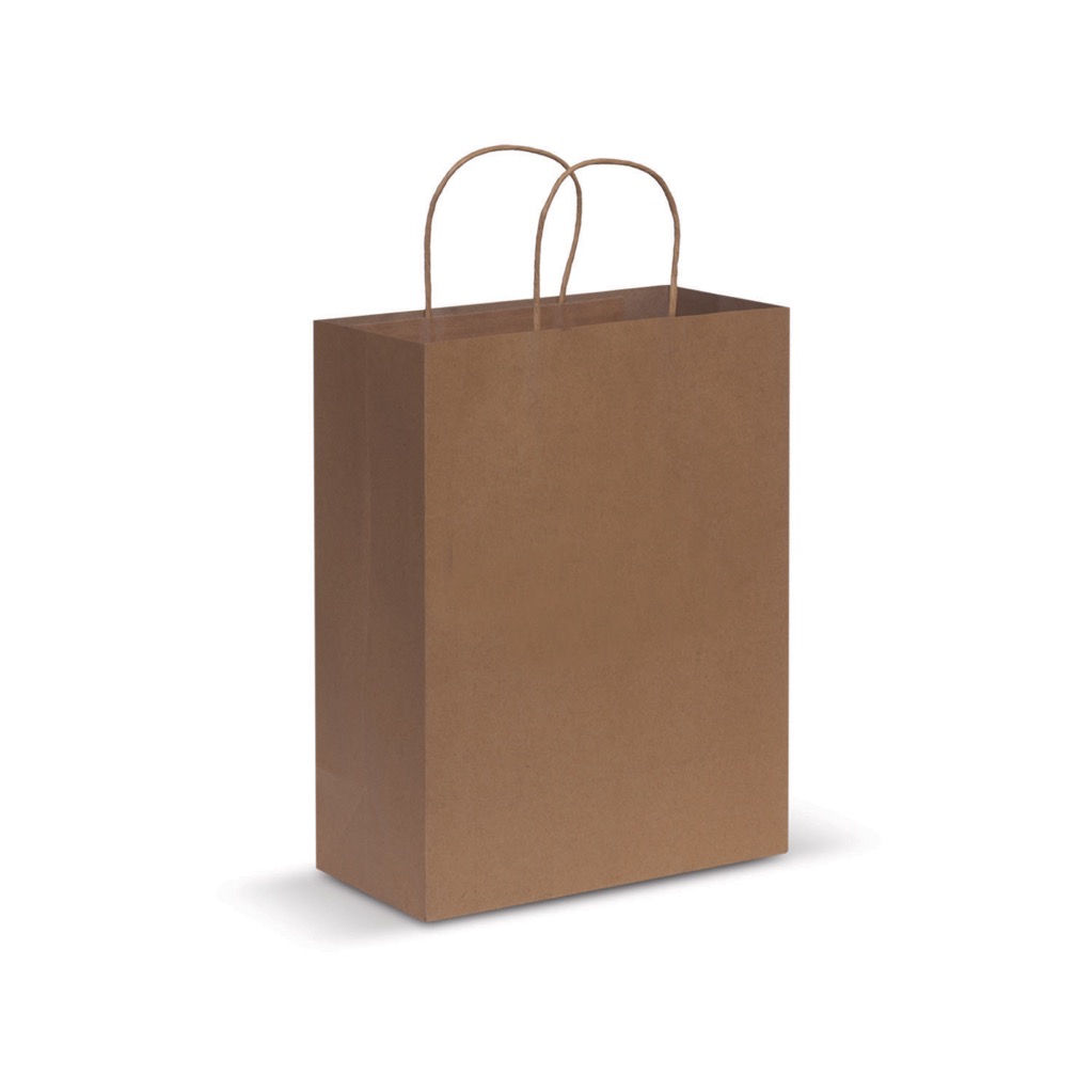 Paper Carry Bag – Large