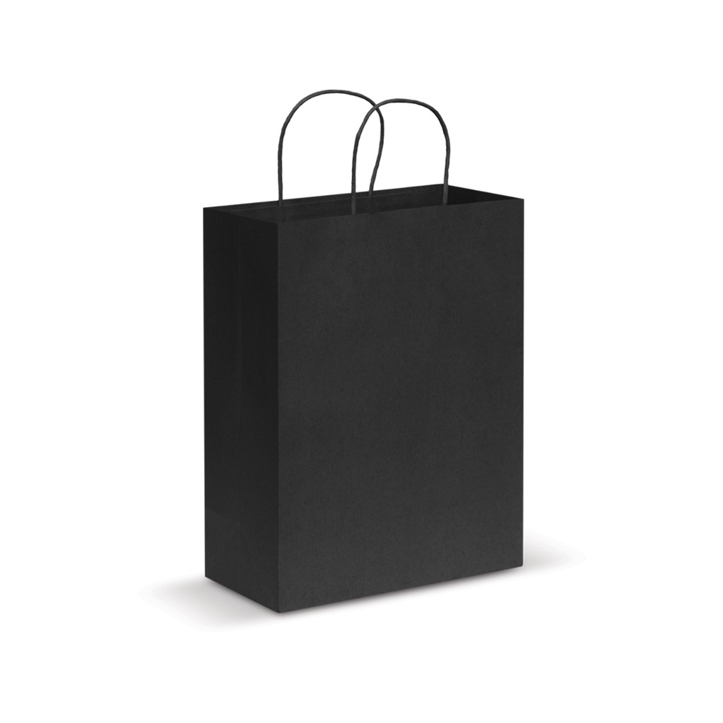 Paper Carry Bag – Large