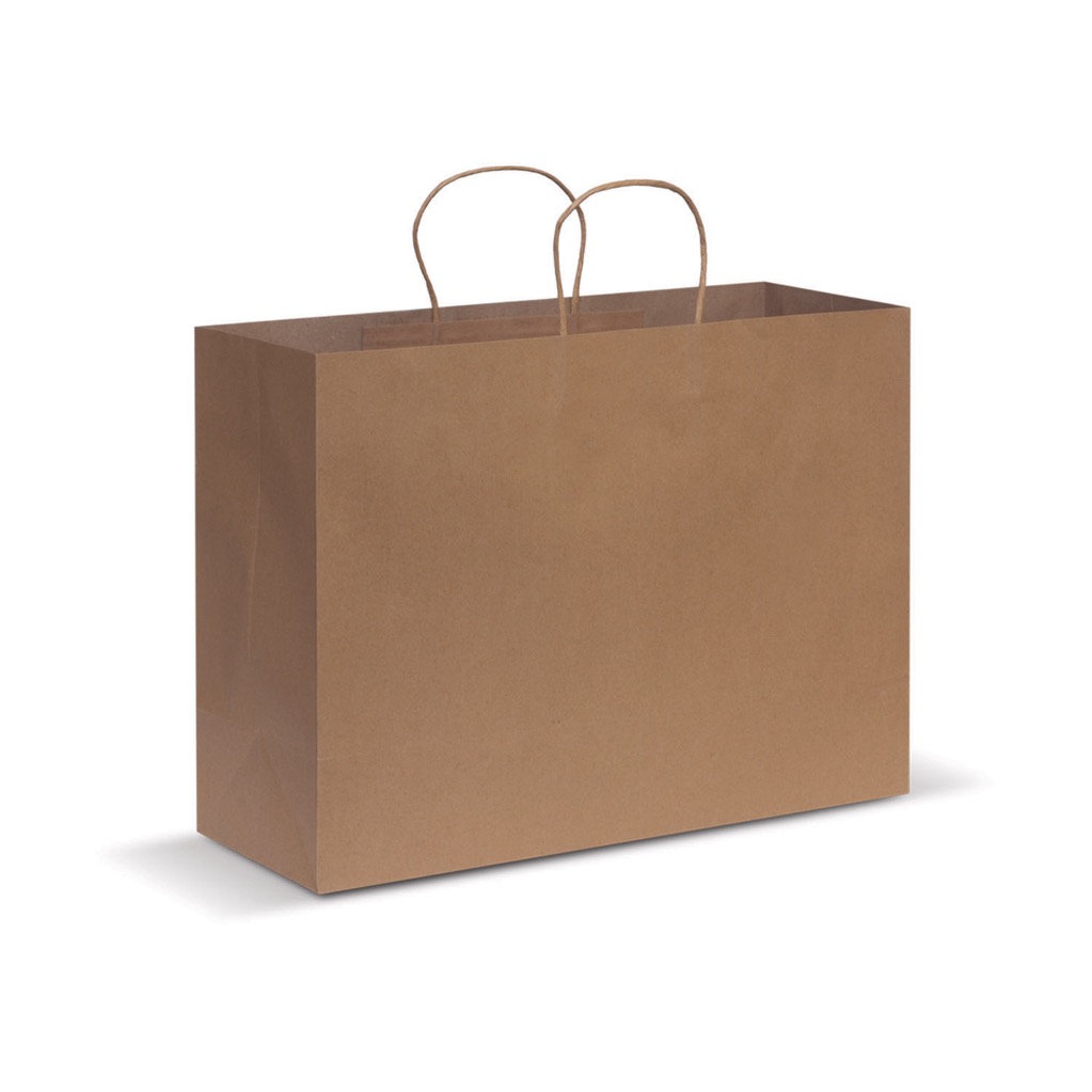 Paper Carry Bag – Extra Large