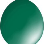 30cm Standard Balloon – Neck Up