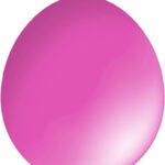 30cm Standard Balloon – Neck Up