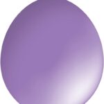 30cm Standard Balloon – Neck Up