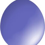 30cm Standard Balloon – Neck Up