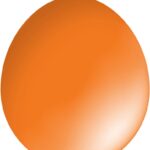 30cm Standard Balloon – Neck Up