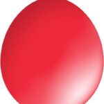 30cm Standard Balloon – Neck Up
