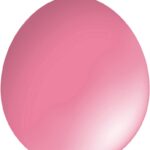 30cm Standard Balloon – Neck Up